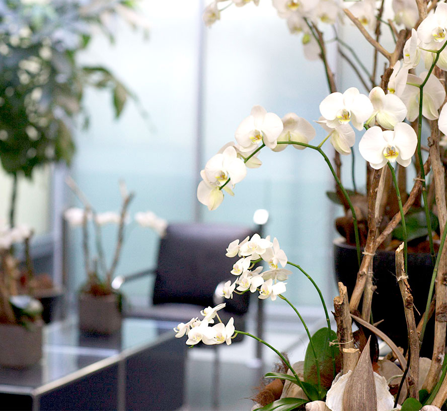 Clinique DELC – Dermatologie, Laser, Chirurgie und Venenheilkunde in Biel